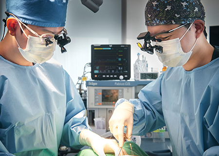 십자인대 특화 센터 카드 이미지