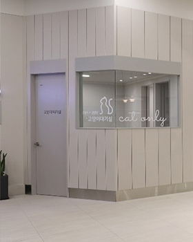 인테리어 이미지