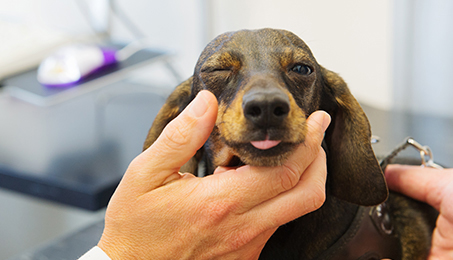 기본검사 이미지