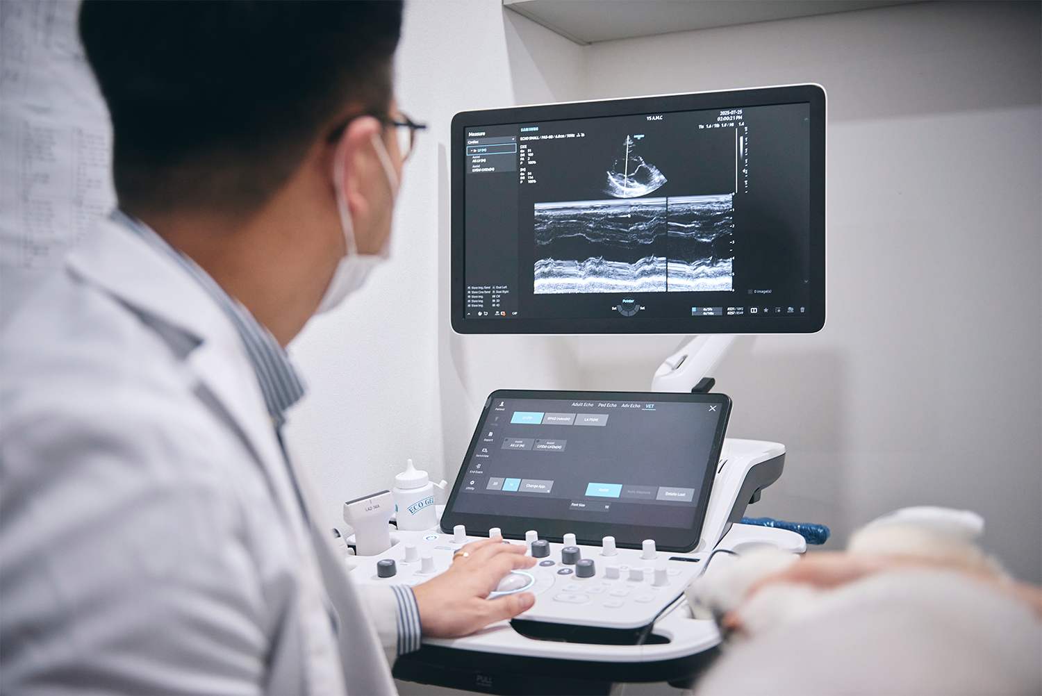 초음파를 보고 있는 수의사