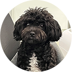 김정국 원장 반려동물 사진 2