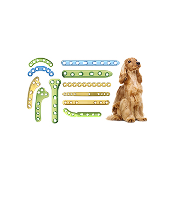 대형견플레이트 이미지