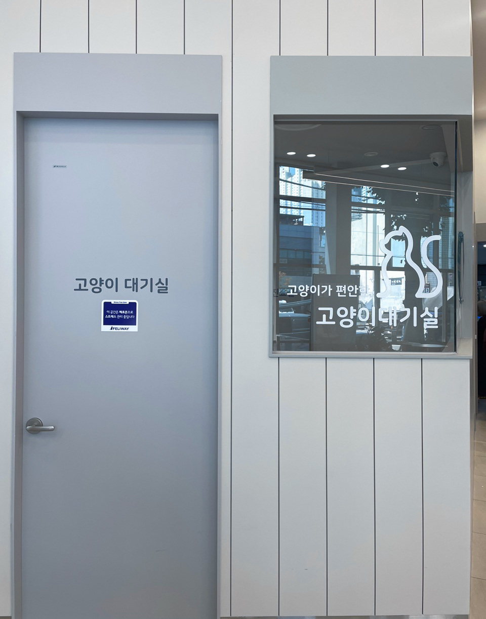 고양이 대기실 이미지