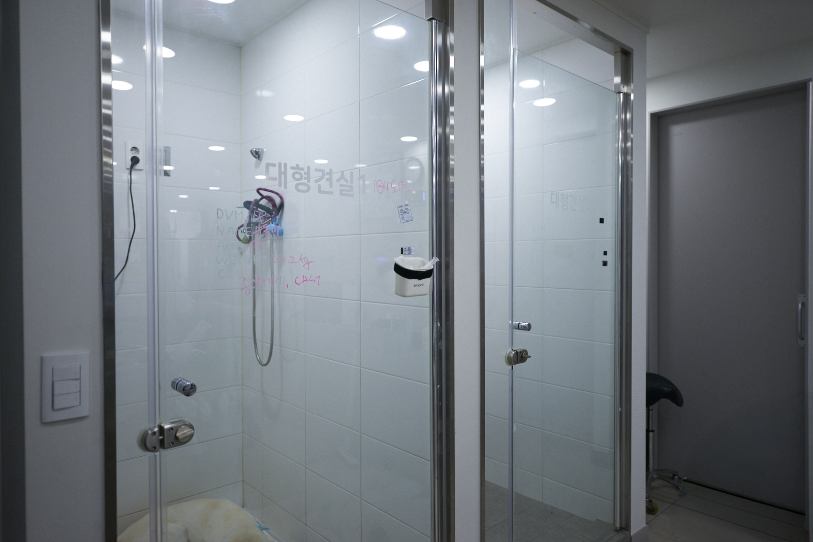 대형견 입원실 전경, 넓은 스테인리스 케이지와 환기 시설