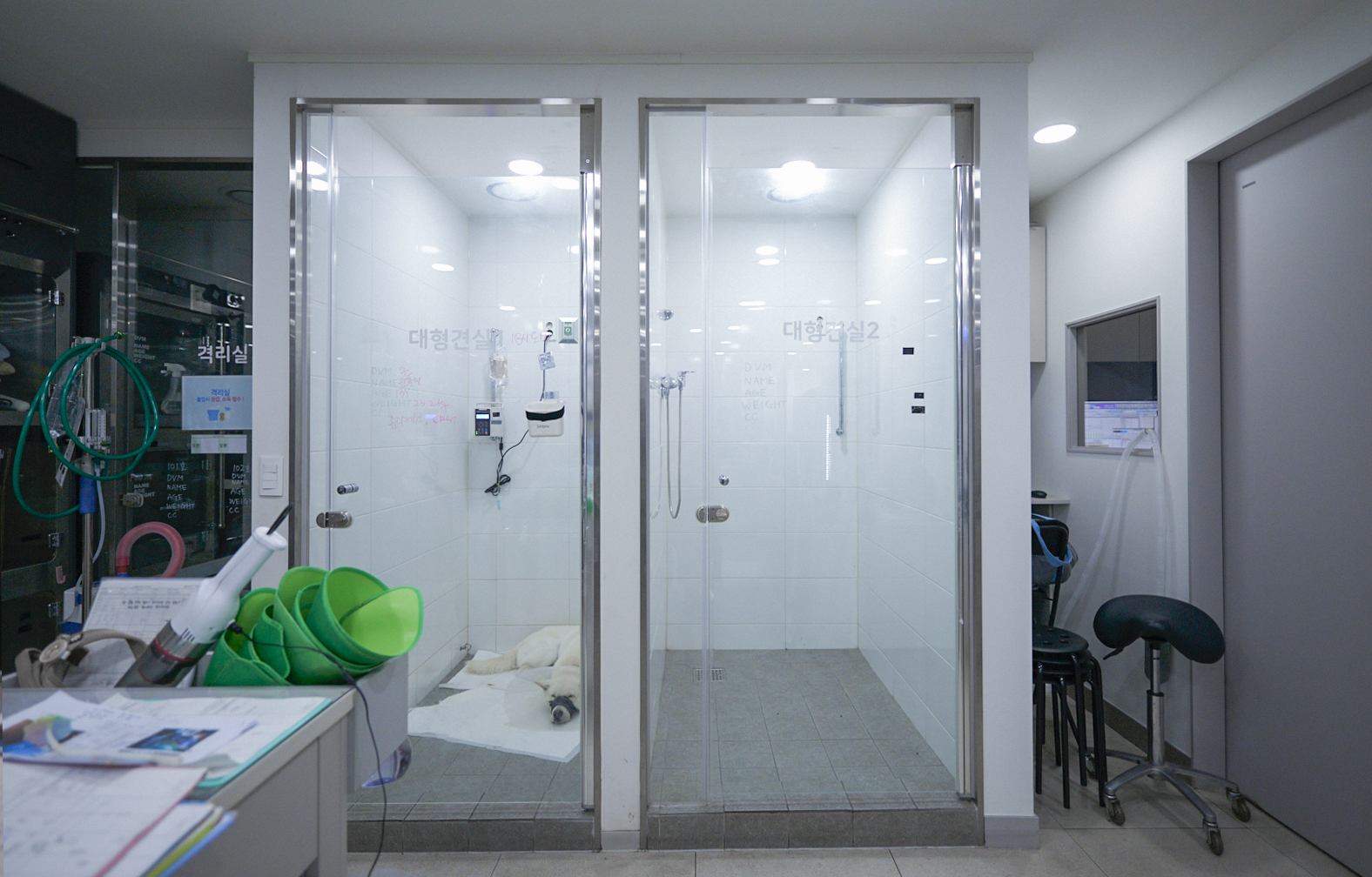 대형견 입원실 측면 전경, 각 구역이 분리된 구조