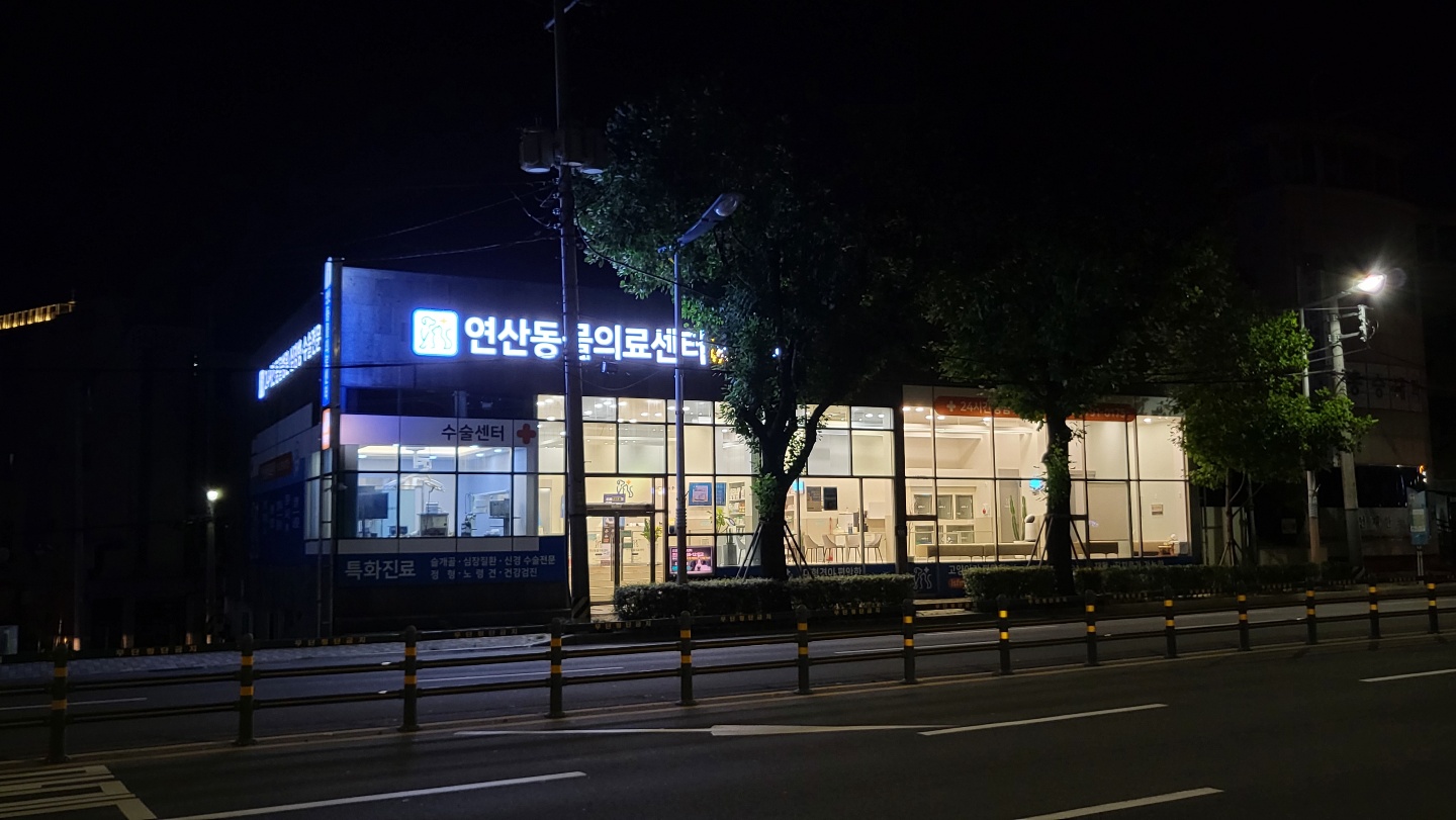 병원 외부 전경2, 입구 주변 거리 풍경