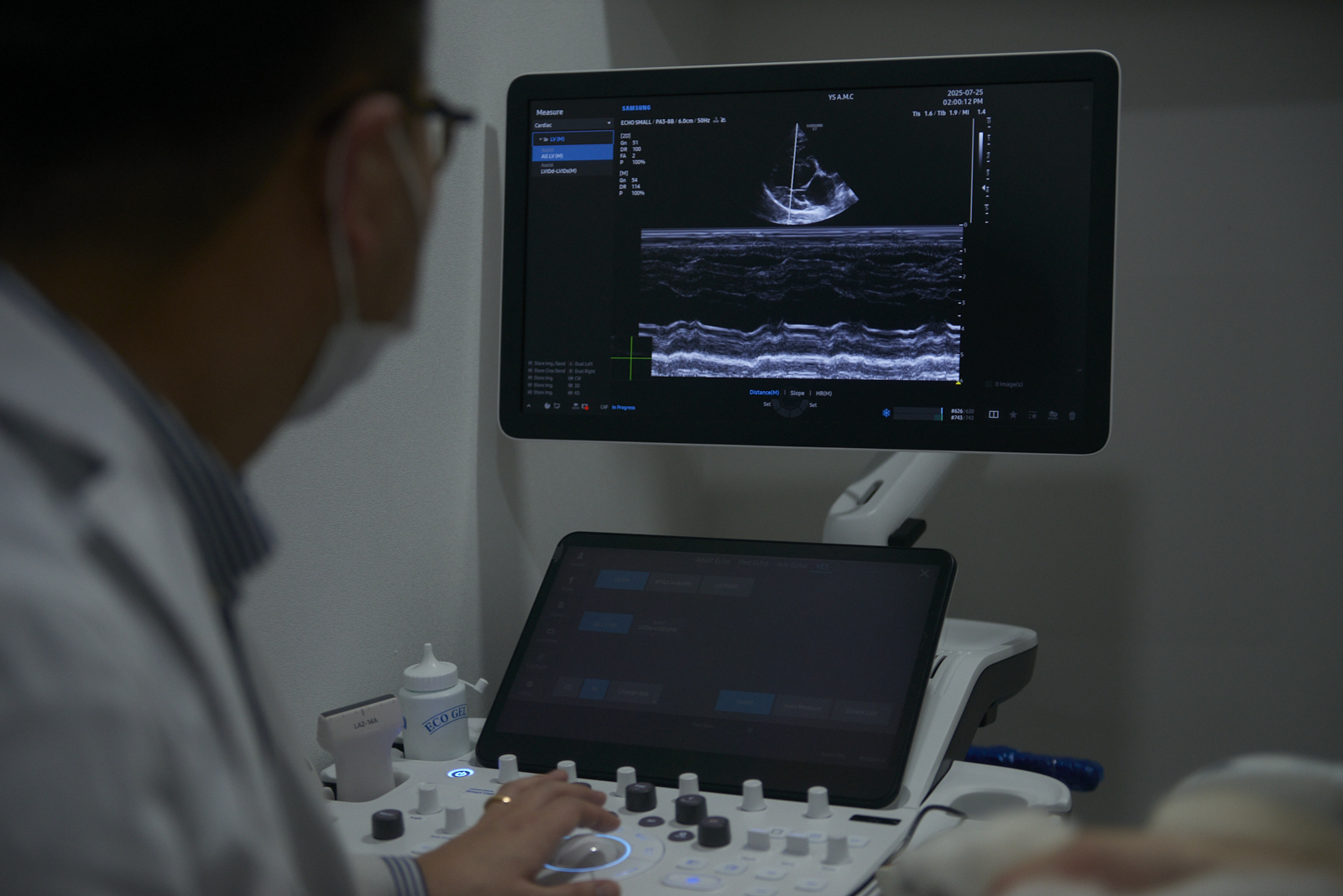 초음파 영상 판독, 수의사가 모니터를 통해 영상을 분석하는 모습
