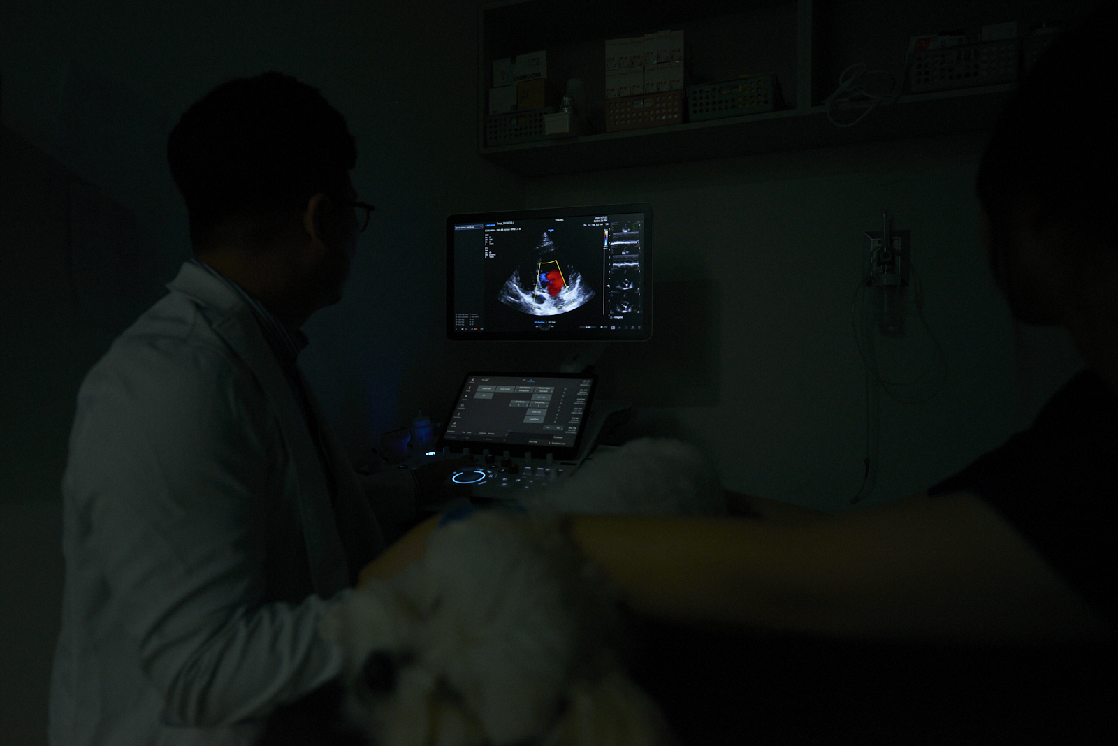 심장 초음파 검사, 수의사가 심장 기능을 측정하는 장면