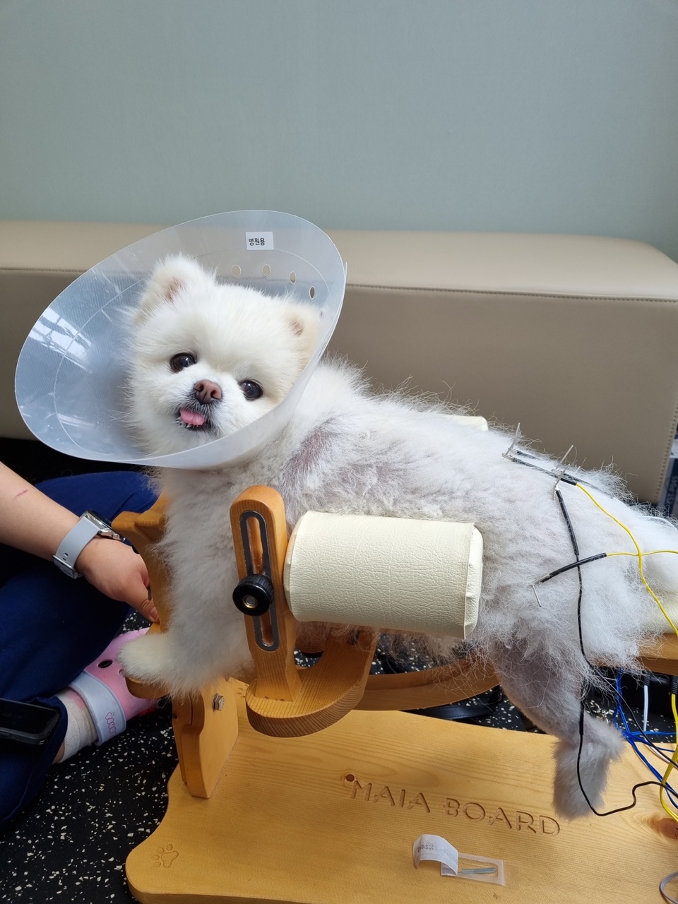 전기 자극 재활 치료, 근육 회복을 위한 전기 패드 시술