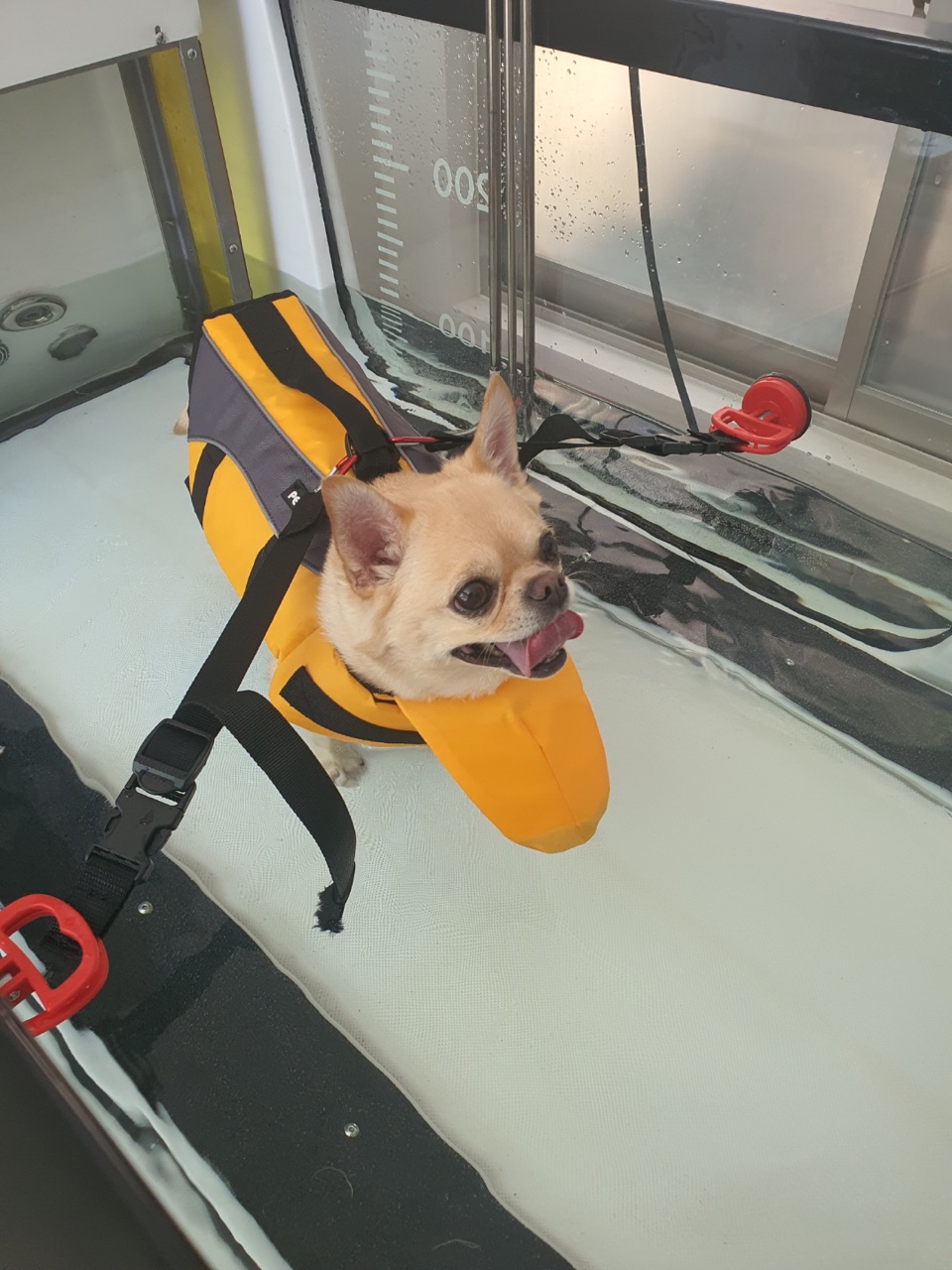 수중 보행 재활1, 수압을 이용한 근육 강화 운동