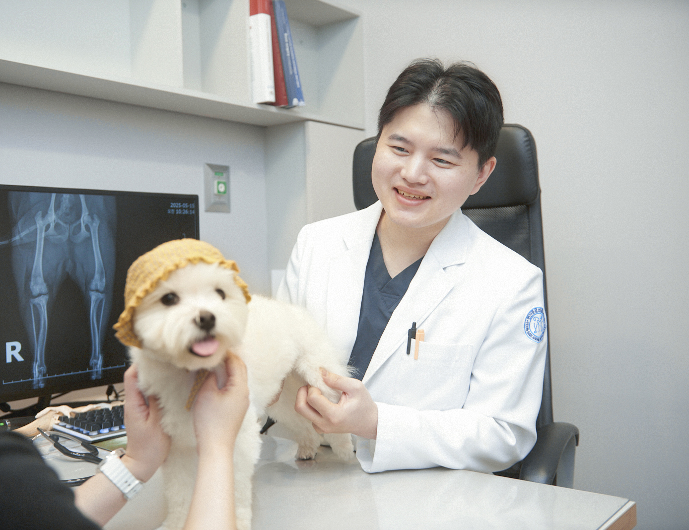 십자인대 검사 이미지