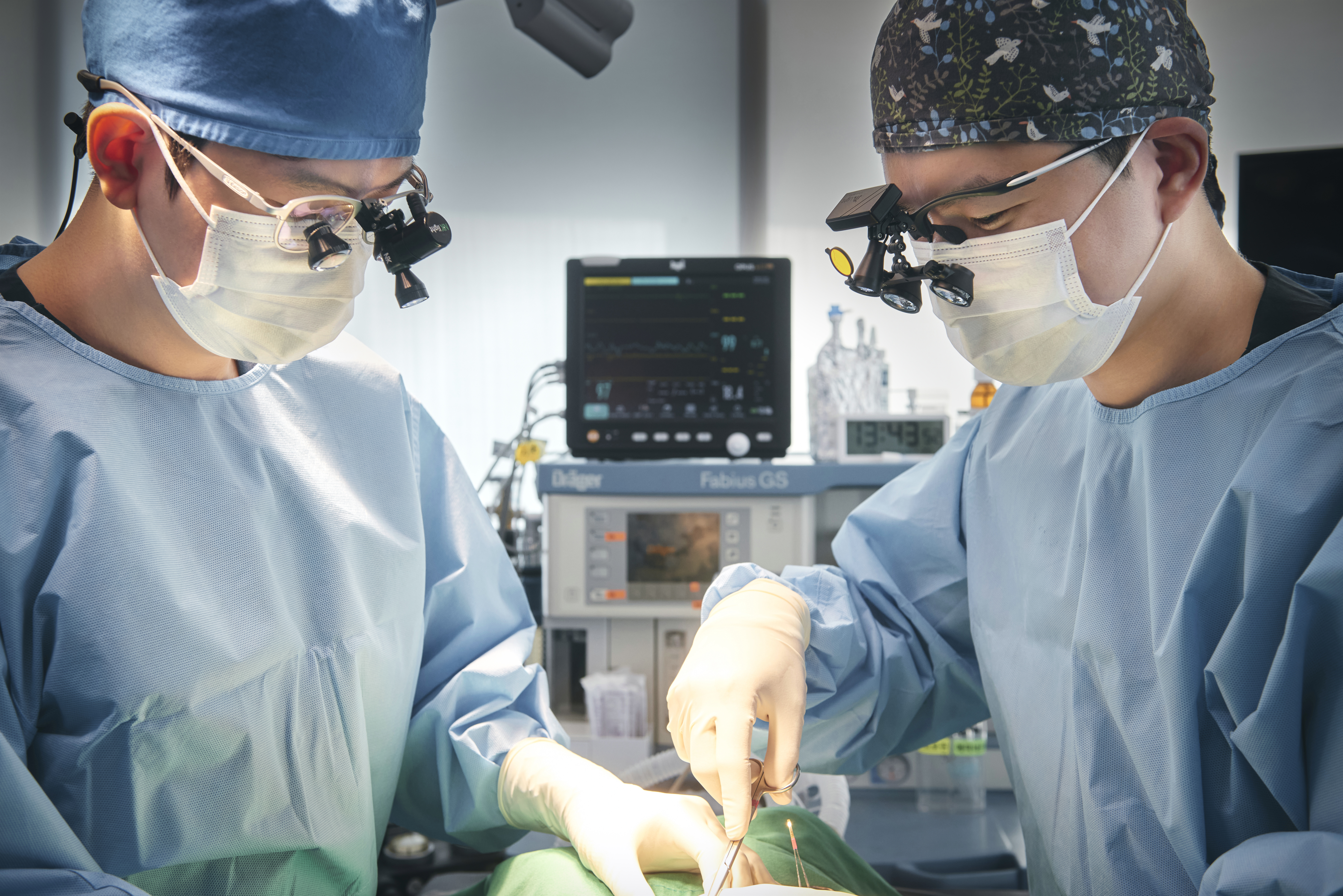 수술등 아래의 수의 외과 의사 이미지